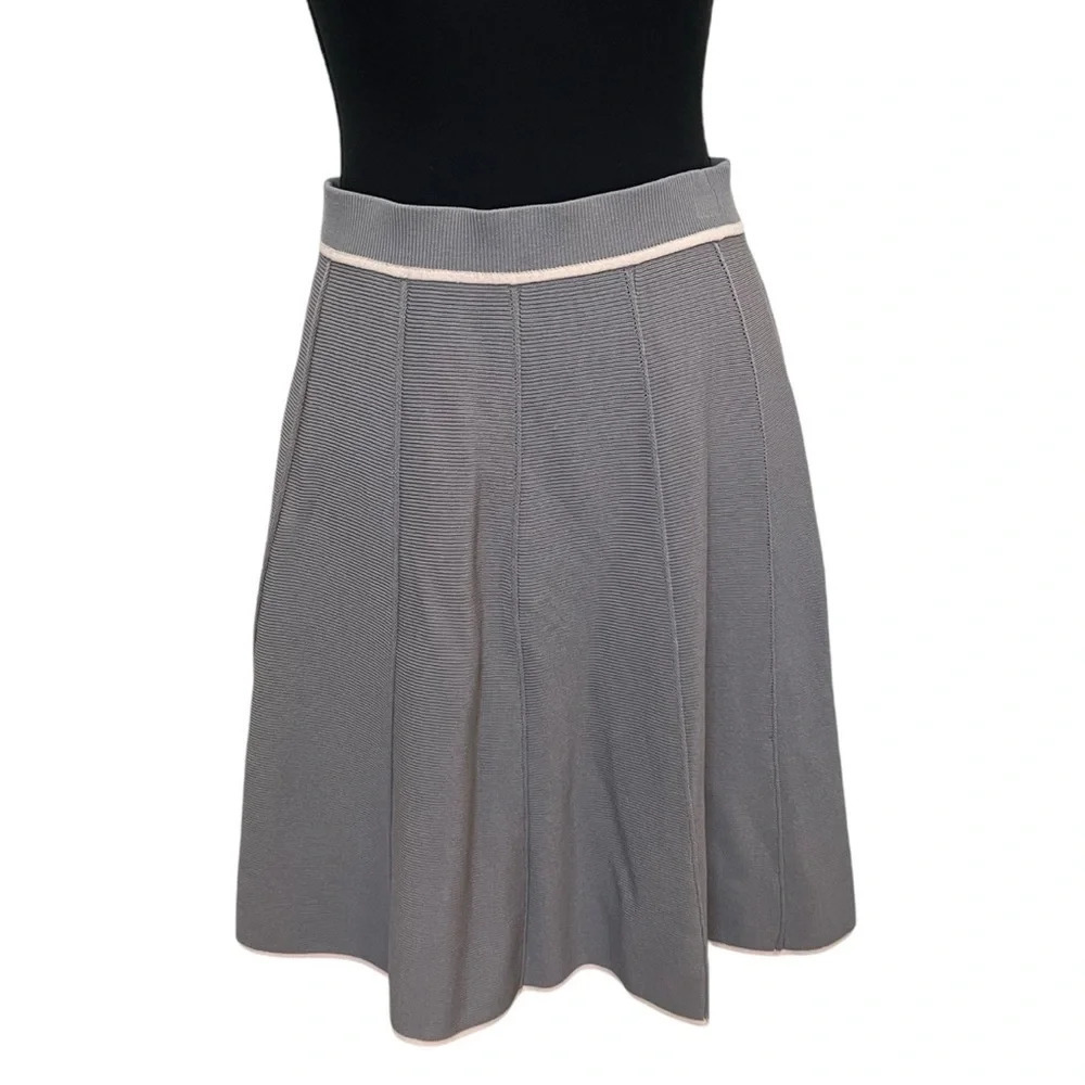 Joie Pleated Skirt with Pink‎ Trim Gray Size Small